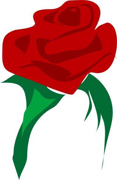 384x592 Rose Red Flower Clip Art Free Vector 4vector
