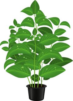 236x325 Flower Pot 12.png Garden Clip Art And Manualidades