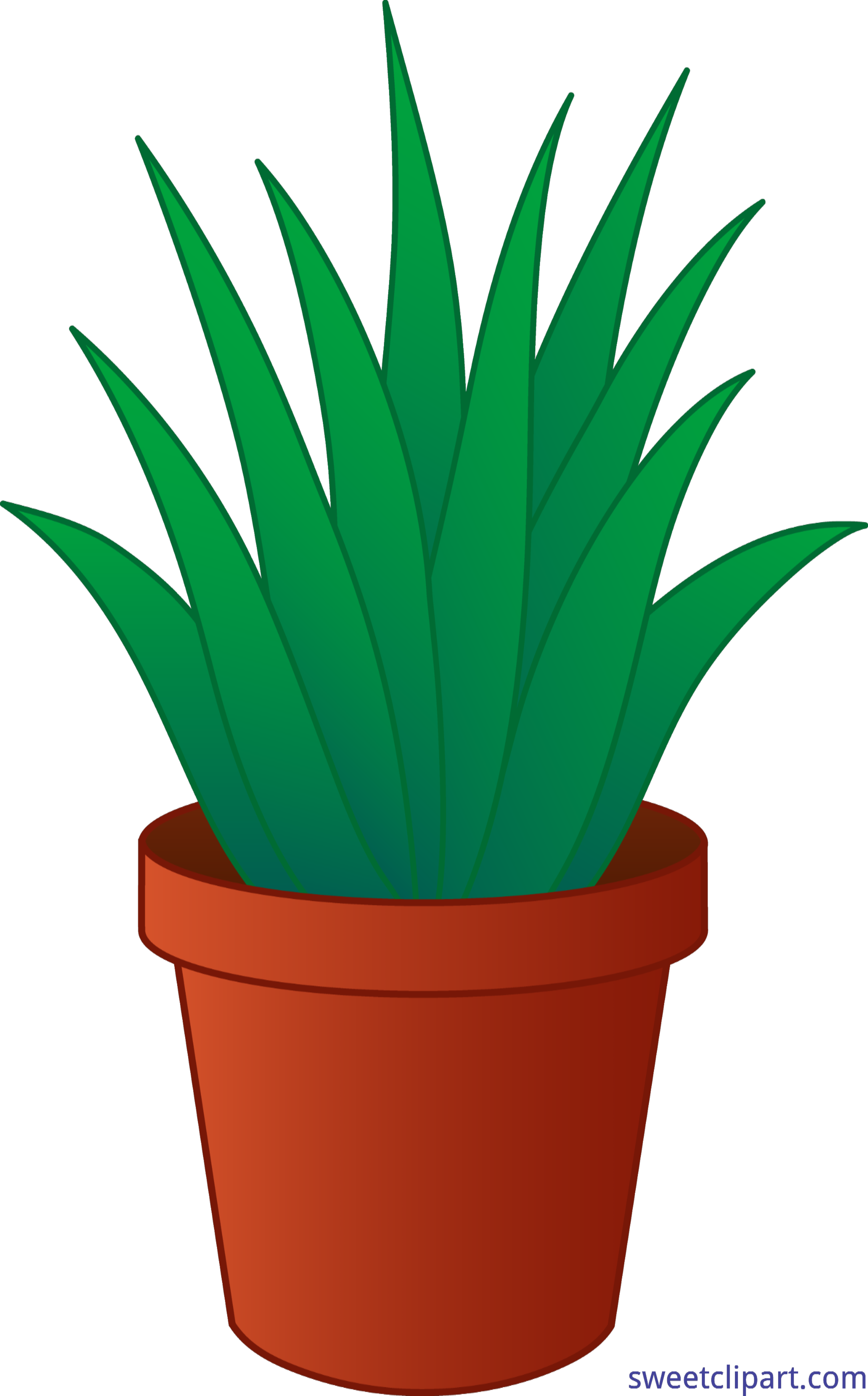 4752x7640 Aloe Vera Plant Pot Clip Art