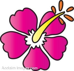 300x286 Hawaiian Flower Tiki Things Hawaiian Flowers