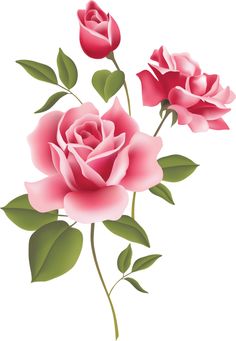 236x341 Pink Roses Clip Art Clip Art