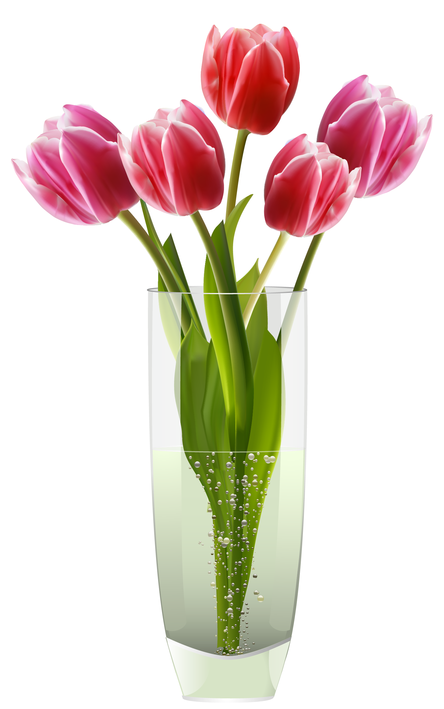 1457x2326 Pink Red Tulips Vase Png Clipartu200b Gallery Yopriceville