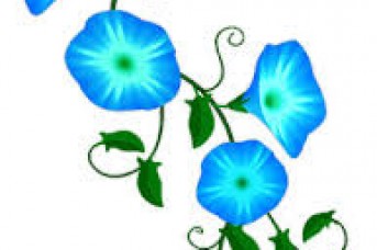 343x228 Free Clipart Flowers And Vines