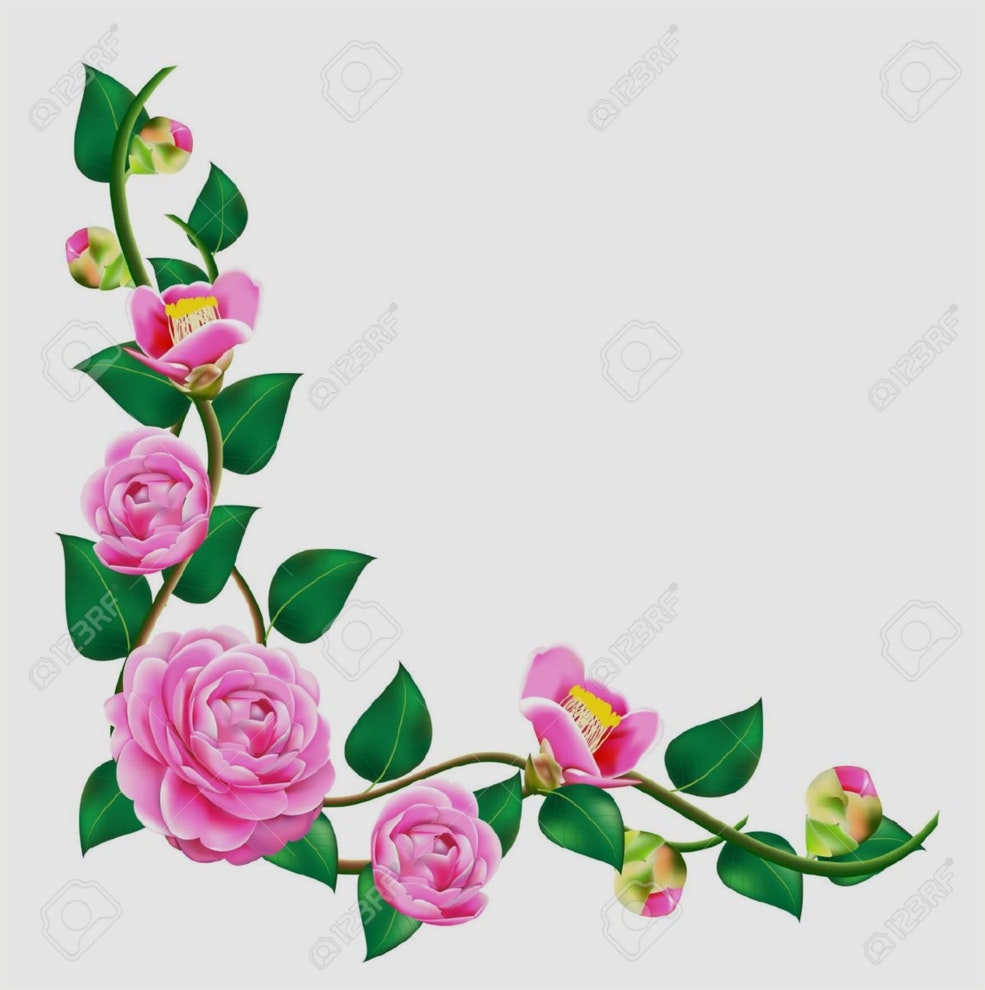 985x990 New Pics Of Vines And Flowers Drawn Flower Vine Pencil And