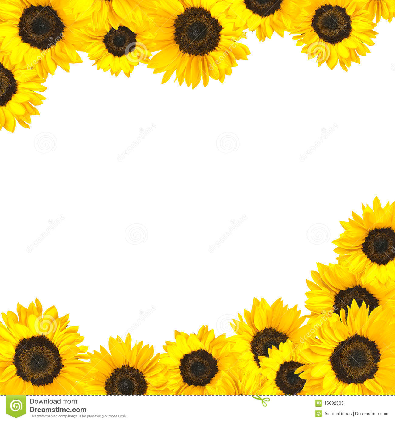 1300x1390 Vine Clipart Sunflower