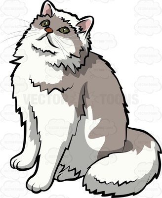 328x400 Longhair Cat Clipart