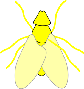 282x299 Fly Clip Art