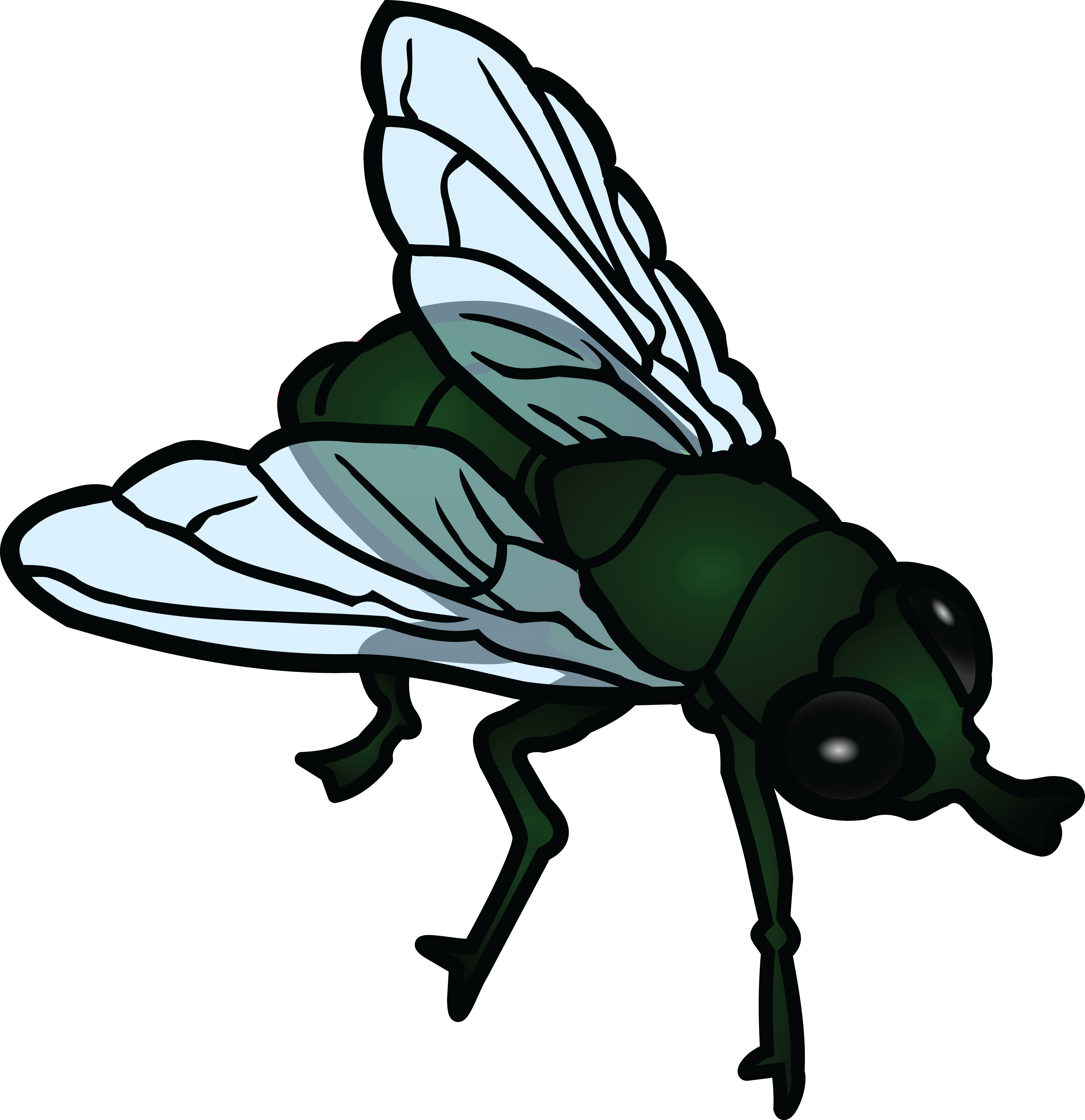 4000x4130 Free Clipart Of A Fly