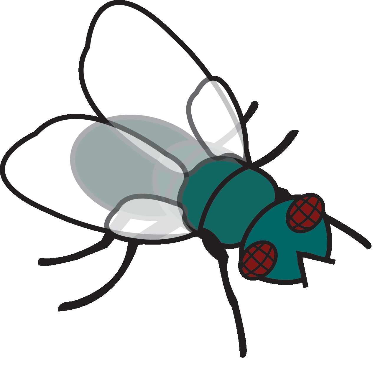 Fly Clipart at GetDrawings | Free download