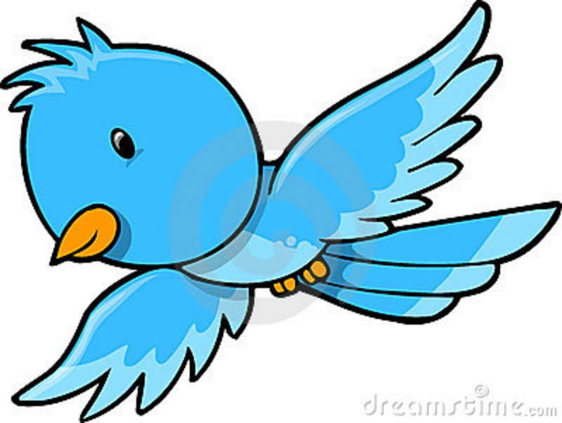 800x602 Bird Flying Clipart