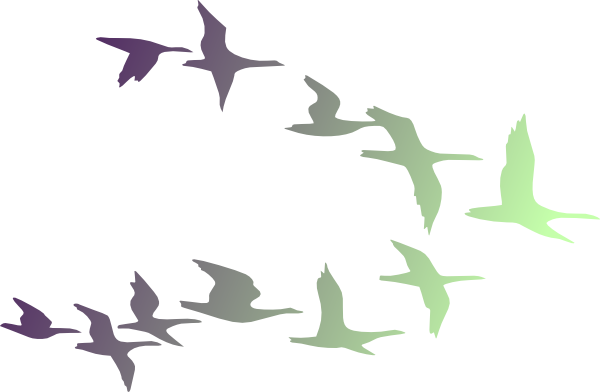 600x392 Birds In Flight Clip Art