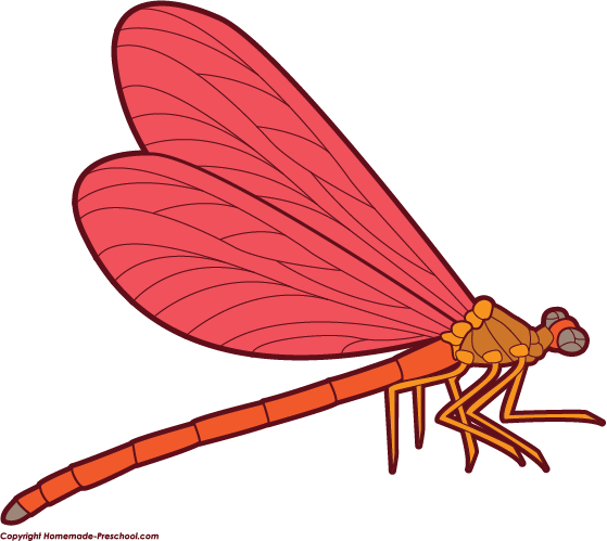 559x499 Top 88 Dragonfly Clipart