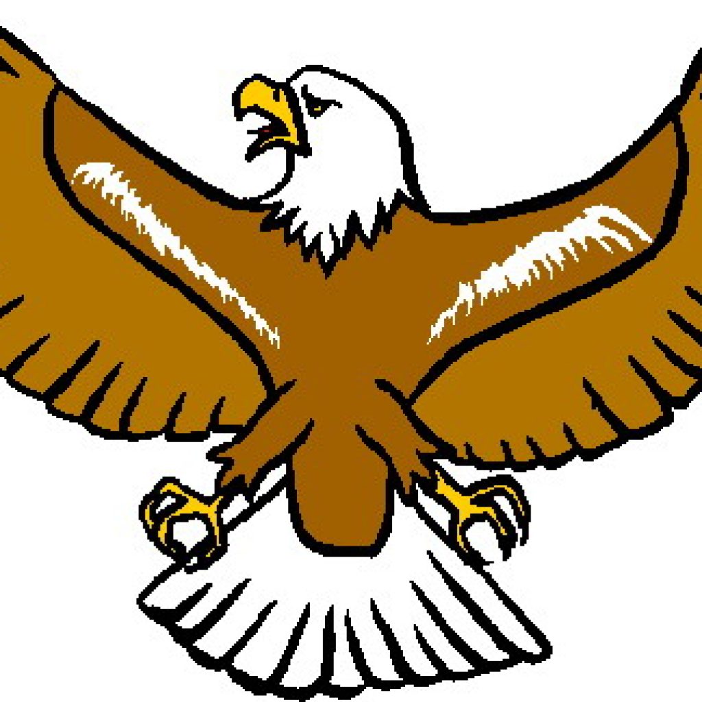 Flying Eagle Clipart at GetDrawings | Free download