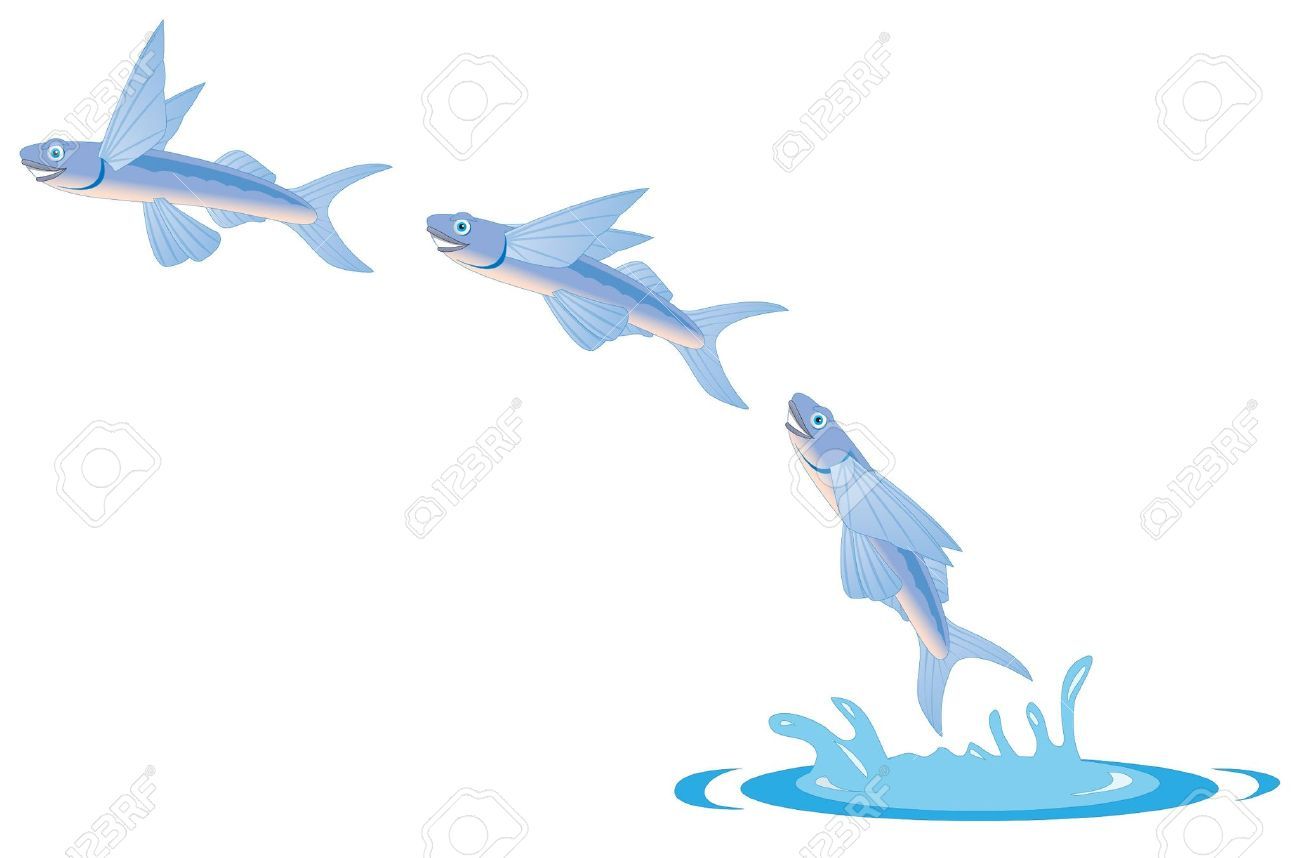 1300x858 Cartoon Illustration Of A Flying Fish Royalty Free Cliparts