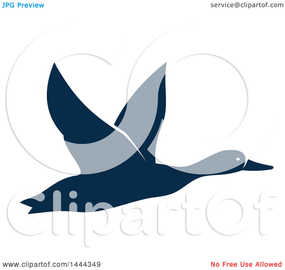 1080x1024 Clipart Of A Navy Blue Flying Duck Or Goose With A White Outline