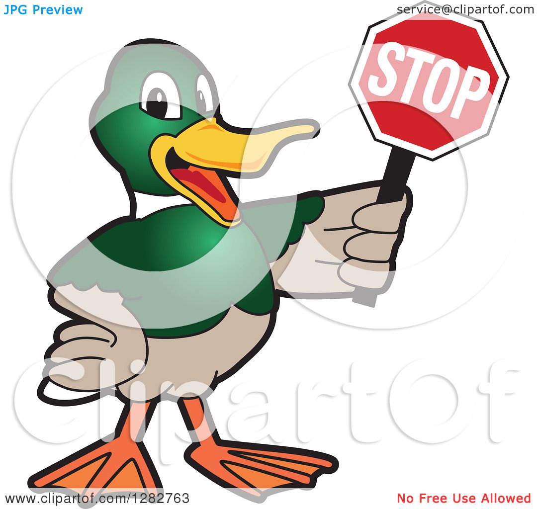 1080x1024 Top 90 Mallard Clip Art