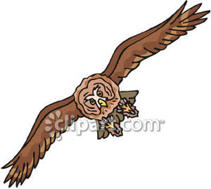 300x269 Majestic Flying Owl