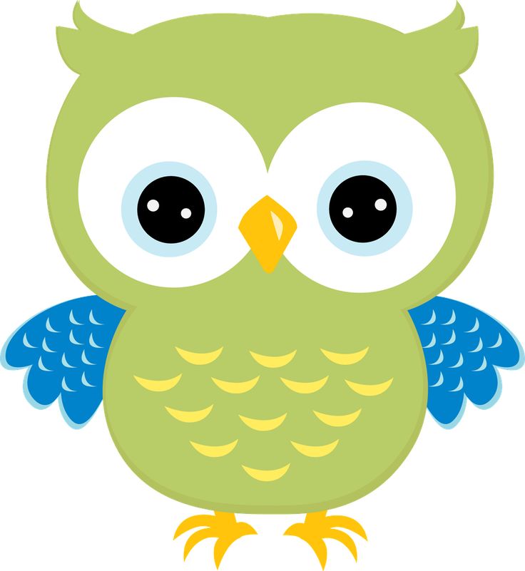 736x801 Owl Clipart Images On Clip Art Owls And 2
