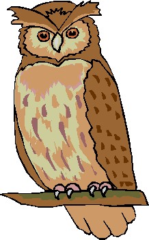 218x349 Top 88 Barn Owl Clip Art