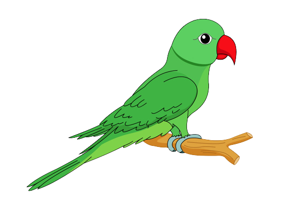550x400 Parrot Clip Art