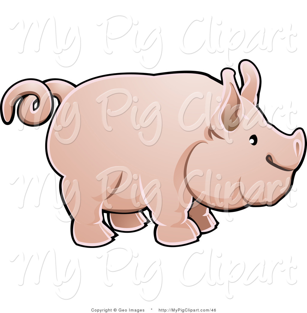 1024x1044 Pig Tail Clipart Outline