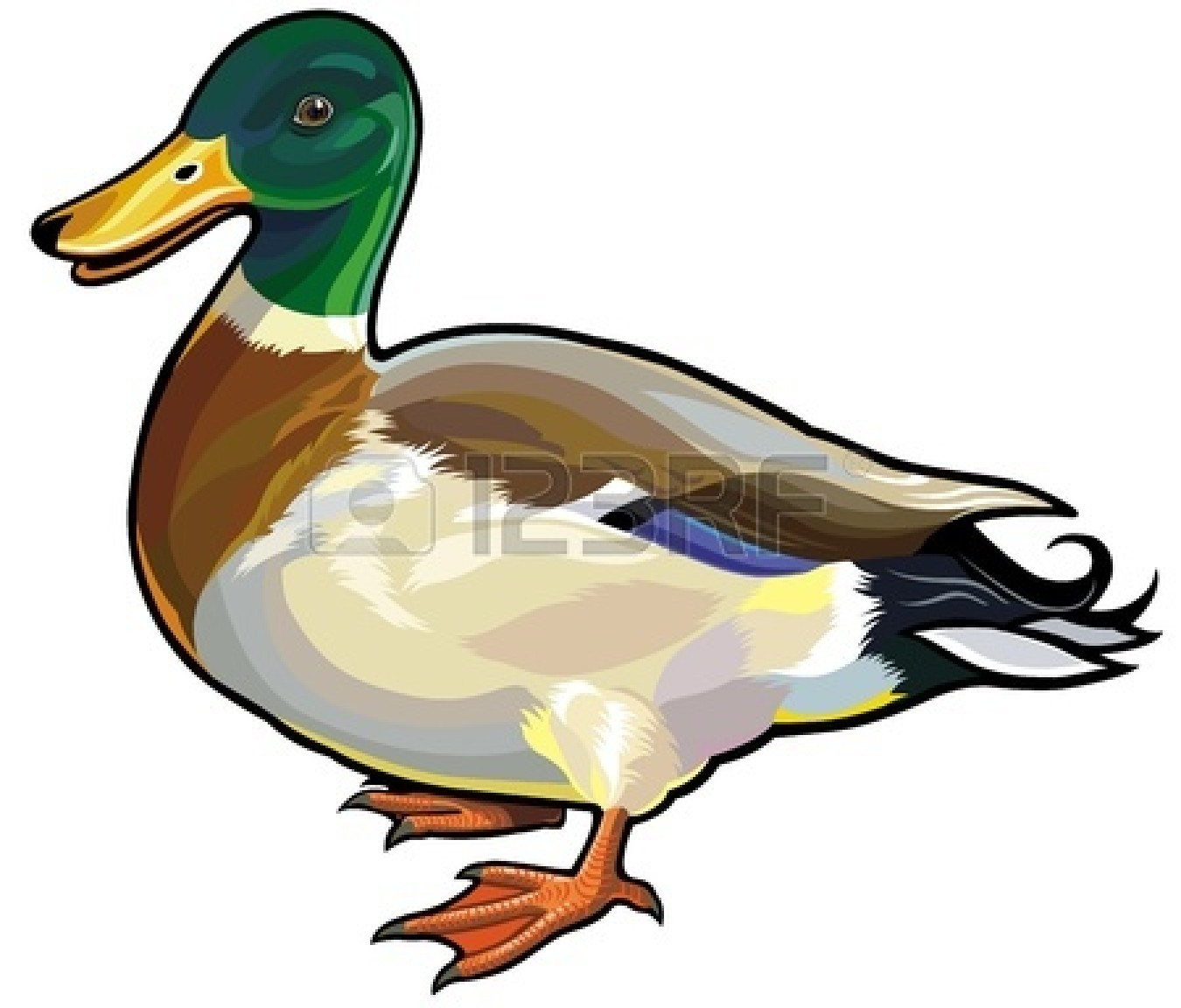 1350x1152 Top 95 Mallard Clip Art