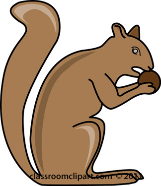 324x375 Squirrel Clipart