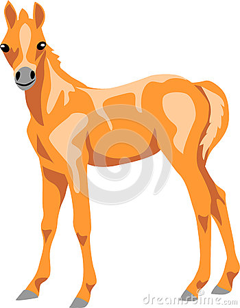 350x450 Palomino Horse Clipart