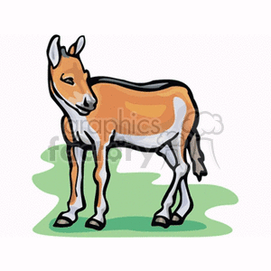 300x300 Royalty Free Colt 132818 Vector Clip Art Image