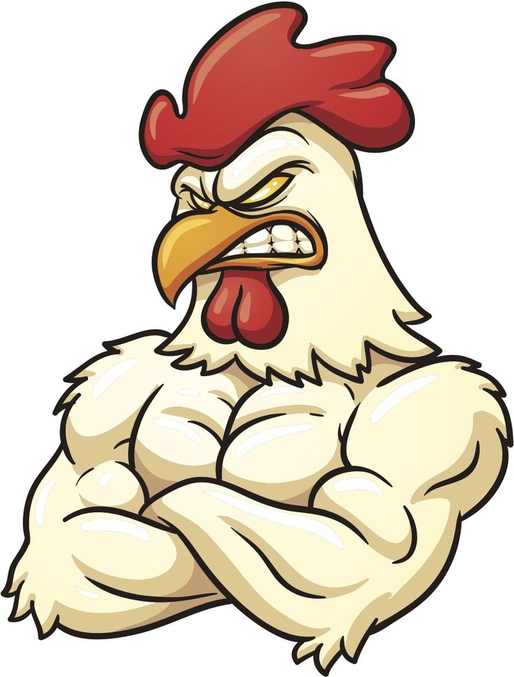 736x970 Drawn Rooster Cartoon