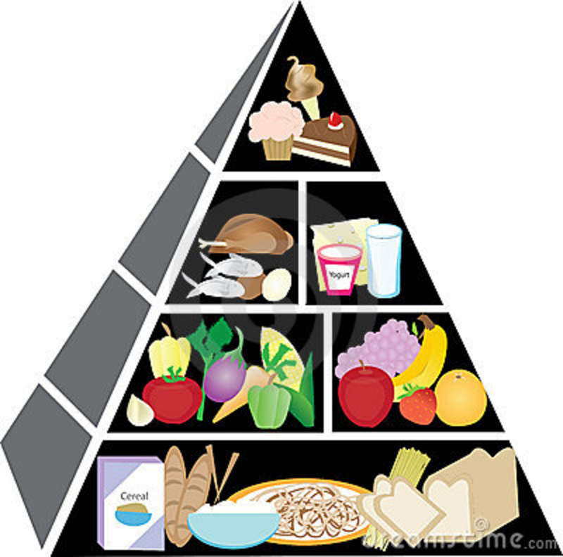 800x792 Food Pyramid For Kids Clipart
