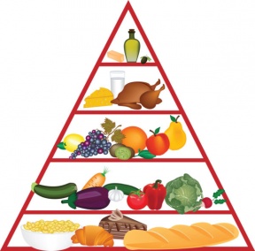 288x284 Food Program Cliparts