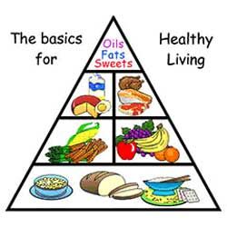 250x250 Food Pyramid Clipart Free Download Clip Art