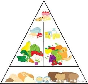300x289 Chart Clipart Food Pyramid 3147687