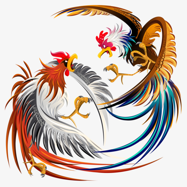 650x651 Cockfighting, Game, Cock, Feather Png Image And Clipart For Free