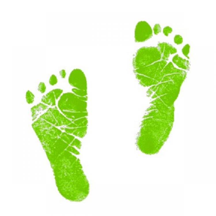 750x750 Green Baby Footprints Clipart