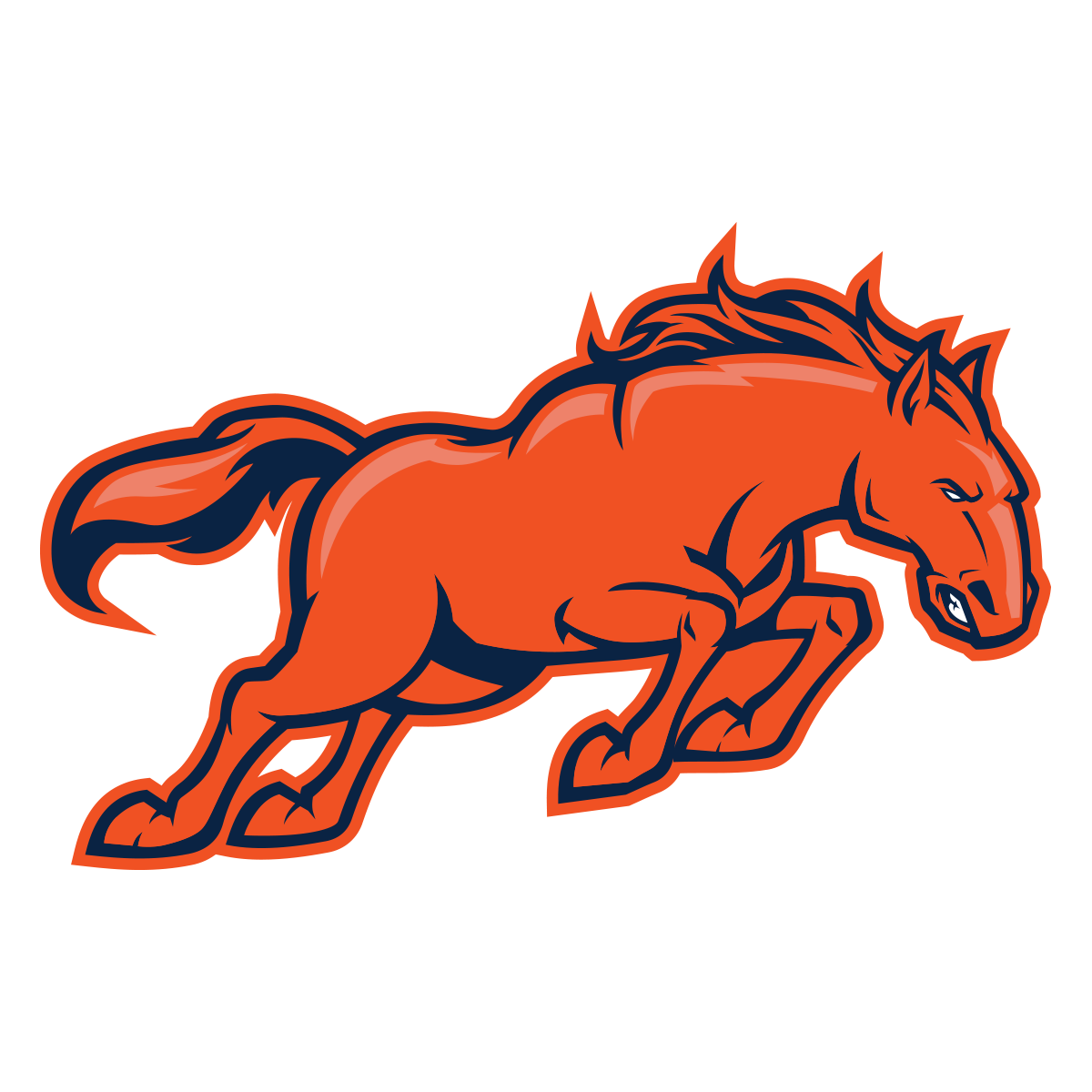 1200x1200 Broncos Wire