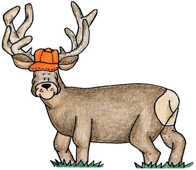 639x554 Best Animal Clipart .backwood Critters Images