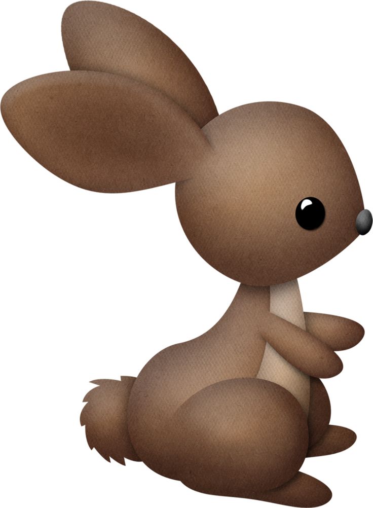 736x1002 Bunny Clipart Forest Animal