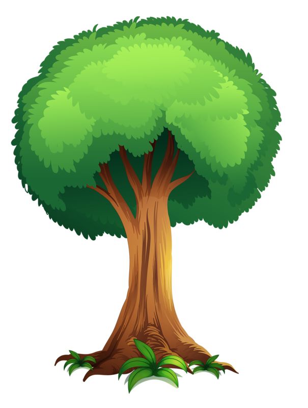 Forest Trees Clipart at GetDrawings | Free download