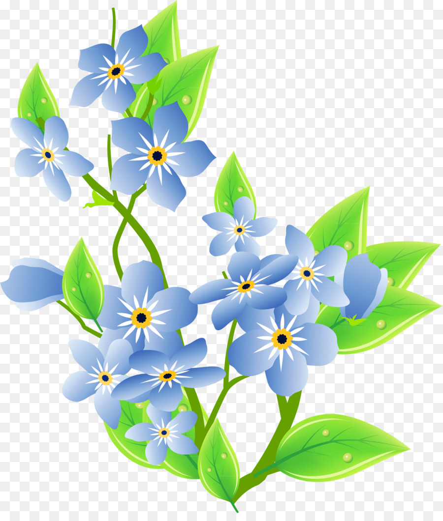 900x1060 Flower Myosotis Sylvatica Stock Photography Tulip Clip Art