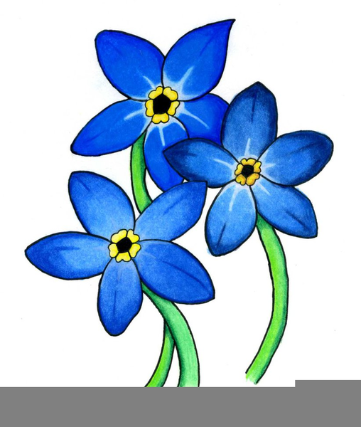 508x600 Forget Me Not Clipart Free Images