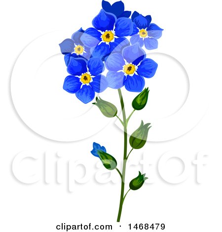 450x470 Royalty Free (Rf) Forget Me Not Clipart, Illustrations, Vector