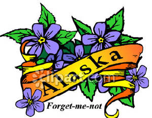 300x234 State Flower Of Alaska, The Forget Me Not Royalty Free Clipart Picture