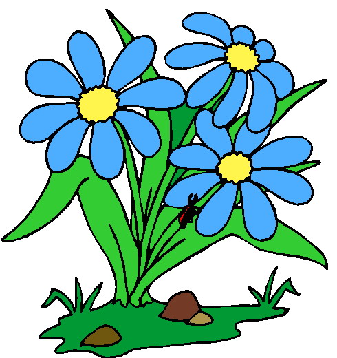 490x520 Cliparts Flowers