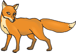 299x210 Shy Fox Clip Art