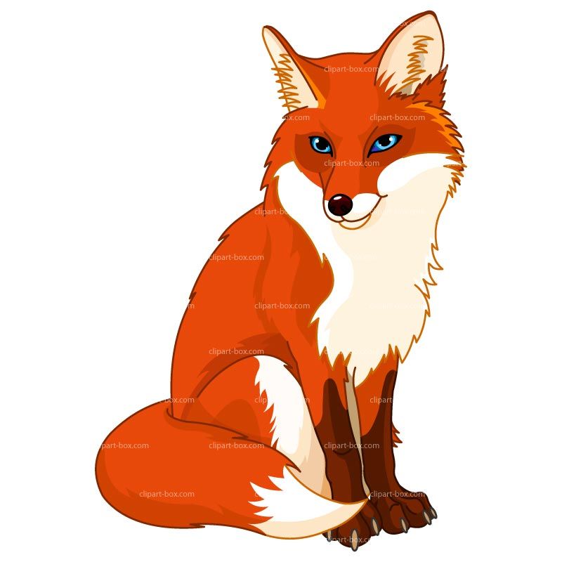 800x800 Baby Fox Clipart Clipart Panda