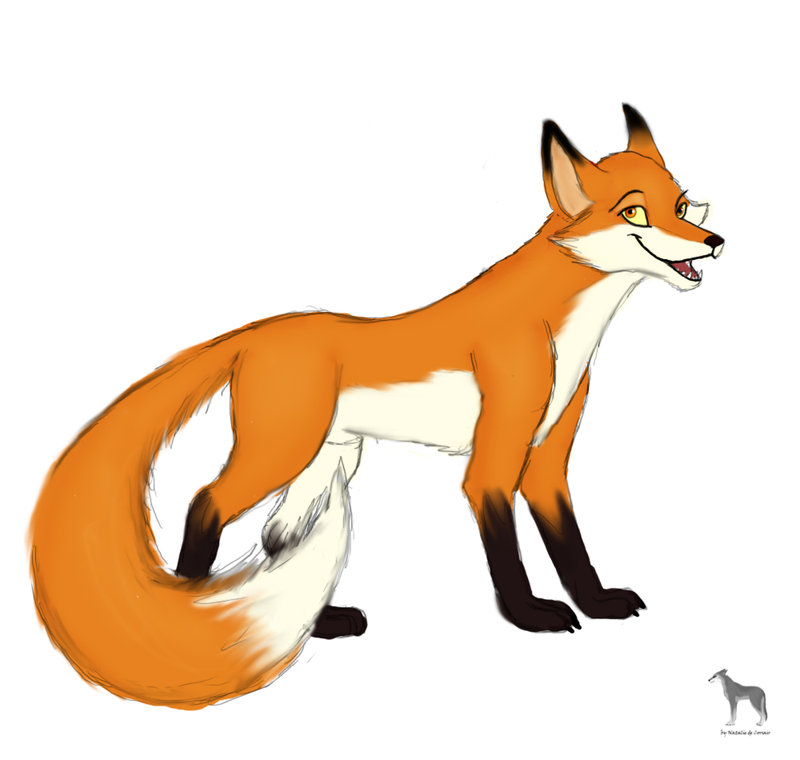 800x760 Red Fox Images Free Free Download Clip Art Free Clip
