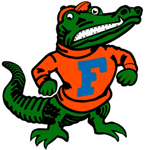 501x479 Collection Of Florida Gator Clipart Free High Quality, Free