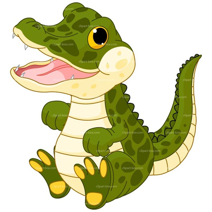 736x736 Alligator Clipart Images